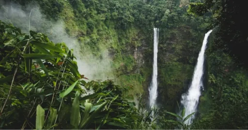 image for article Bucket List for Filipino Coffee Lovers: Experience a Zipline Coffee Break in Laos