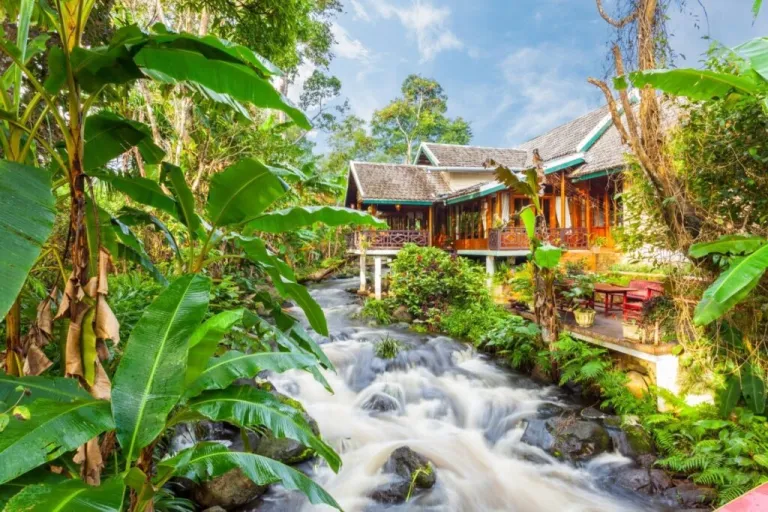 greeneries coffee resort named sinuok coffee resort in laos