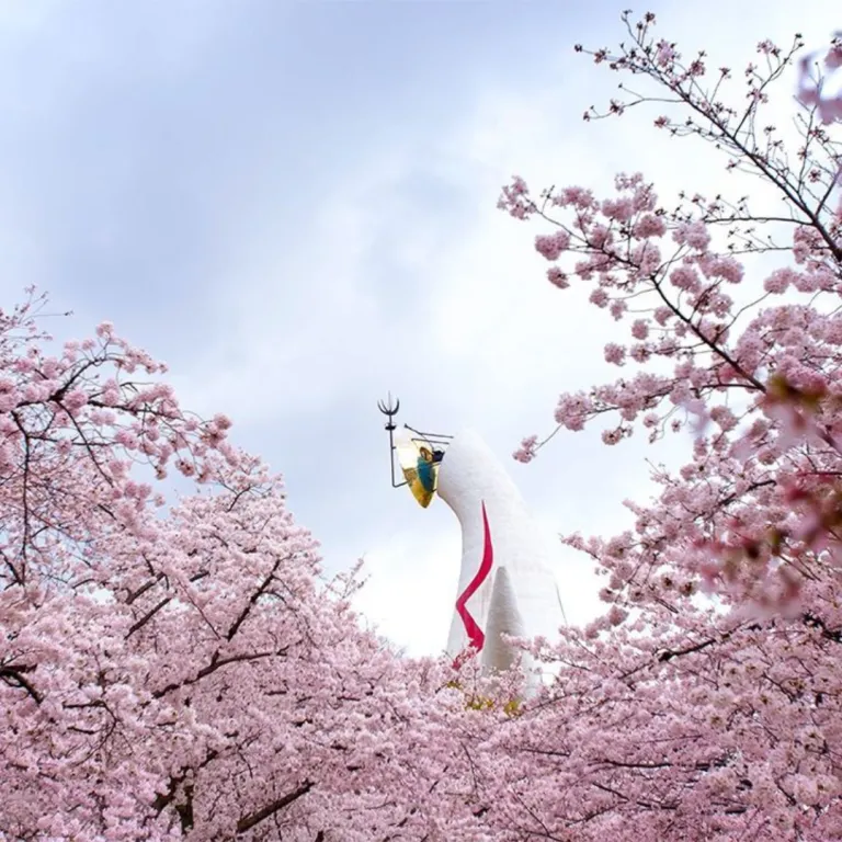 expo 70 commemorative part surrounded by cherry trees