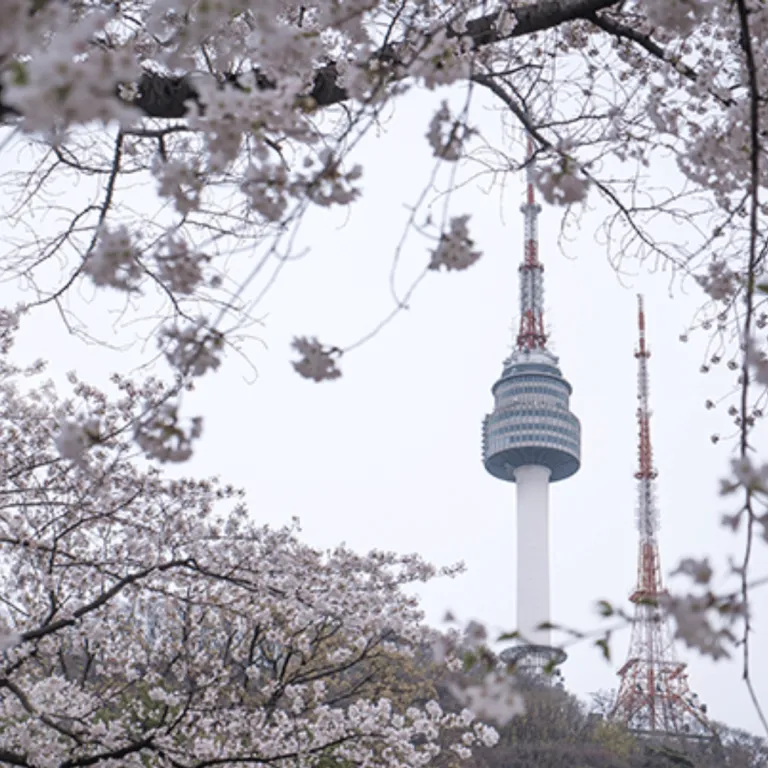 namsan park &amp; n seoul tower