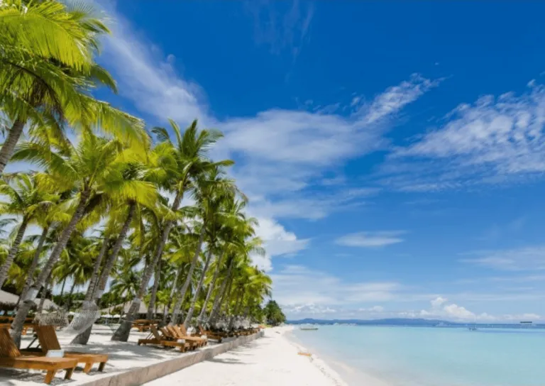 seaside of panglao beach in bohol