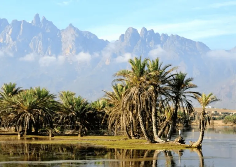 socotra island in yemen