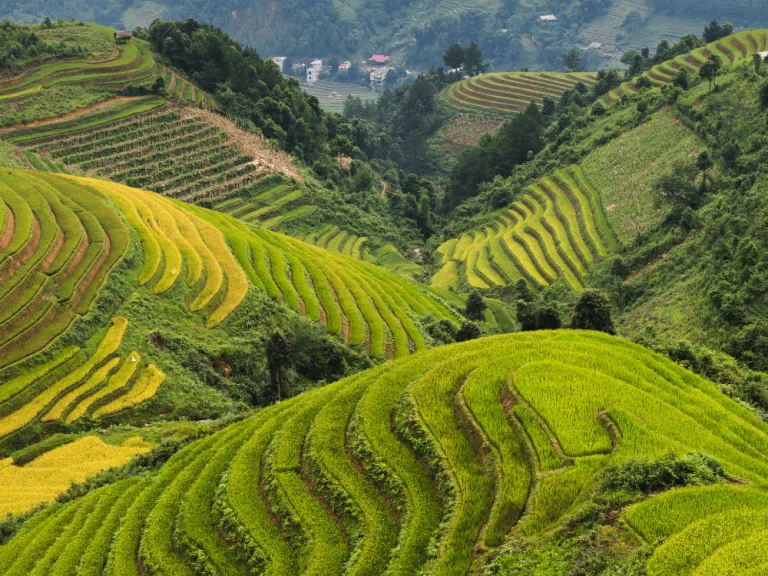 mountains in sapa, vietnam