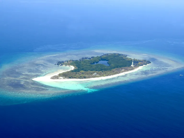 apo reef nature park philippines