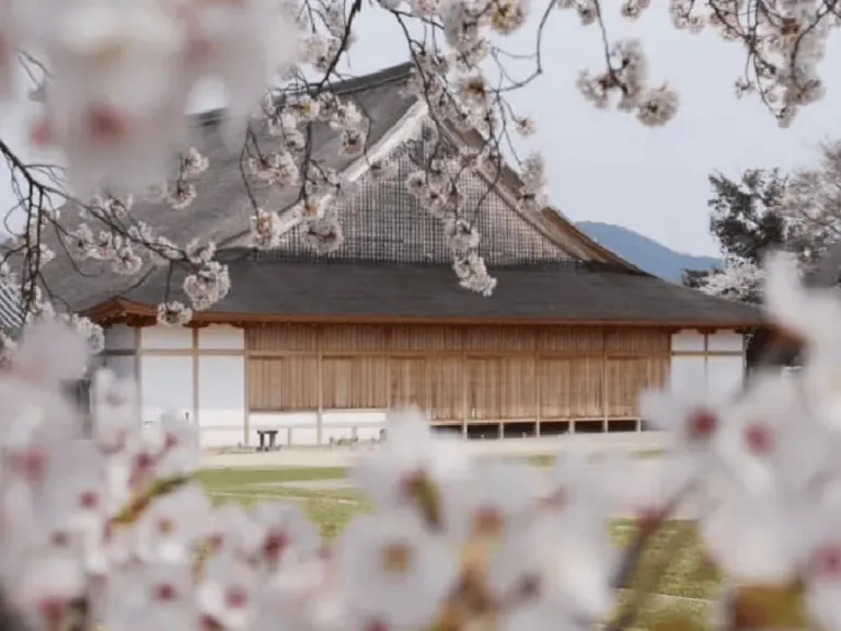 sasayama castle in Japan