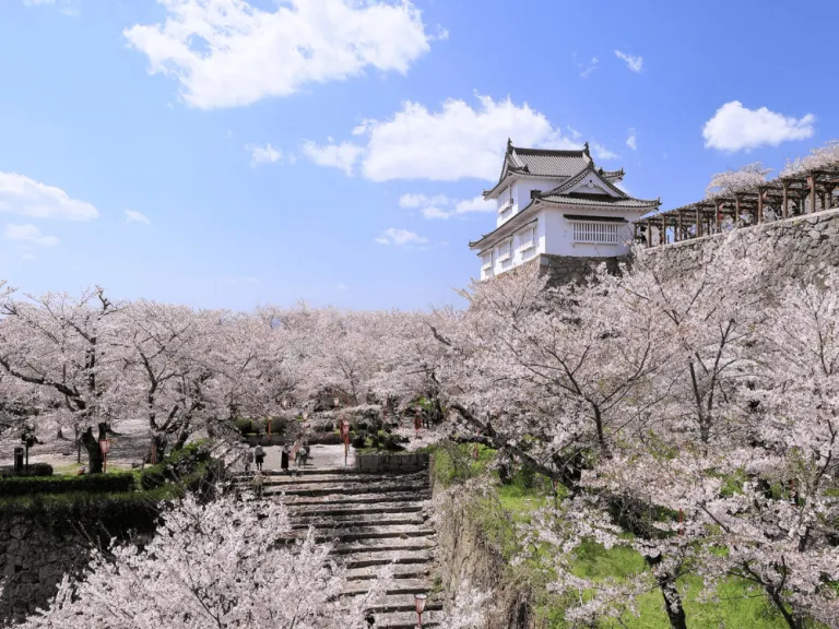 tsuyama castle in japan