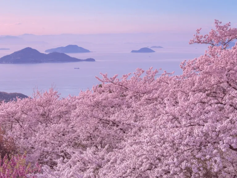 mount shiude in japan