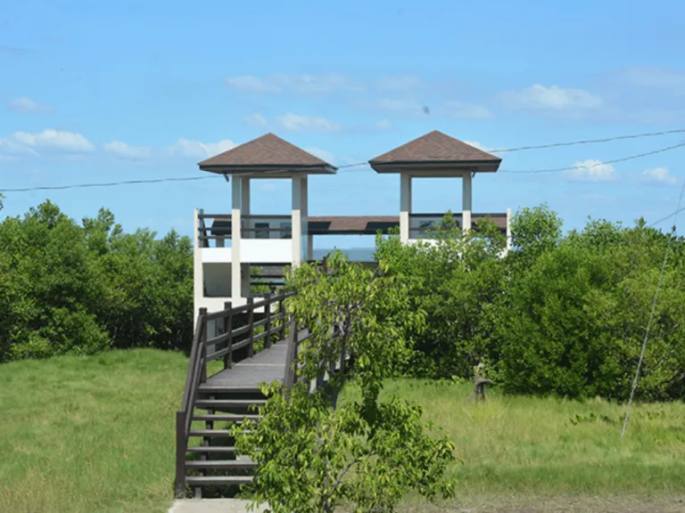 Balanga City Wetland and Nature Park in Bataan