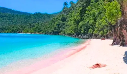 image for article Fall in Love at These Stunning Pink Beaches in the Philippines