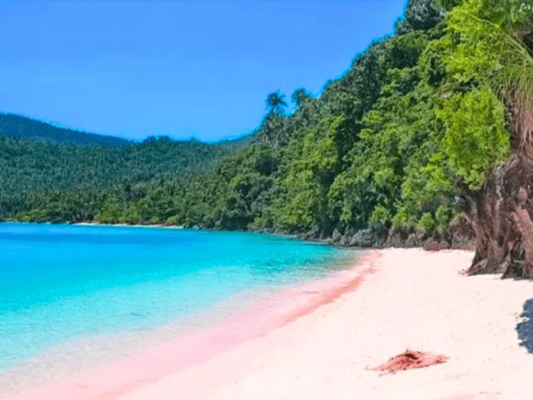 pink beach of sila island in northern samar