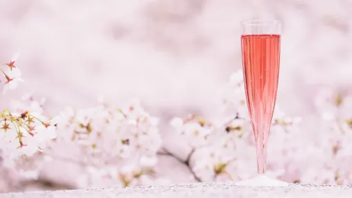 image for article Must-Try Sakura-Inspired Foods & Drinks in Japan