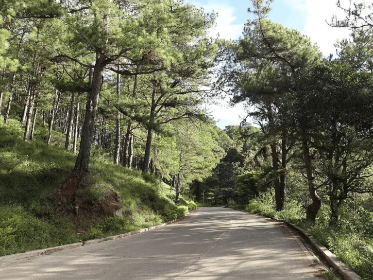 Staunton Road in Sagada