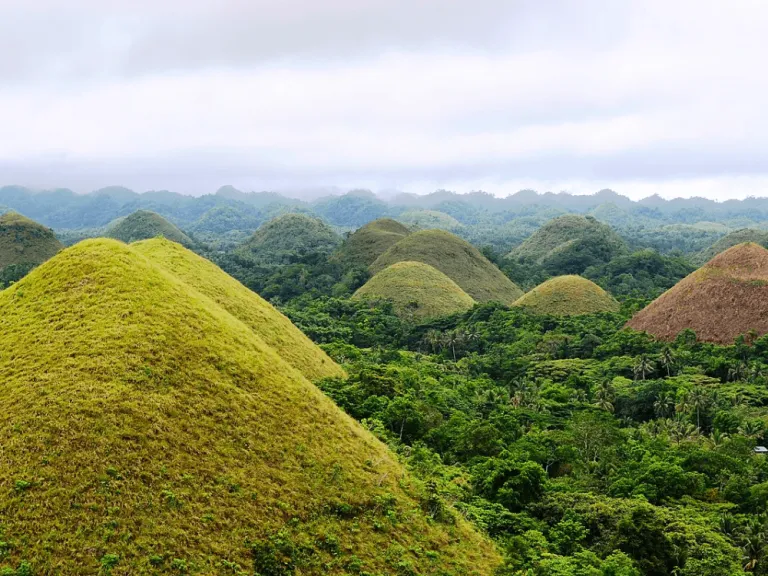 chocolate hills in bohol