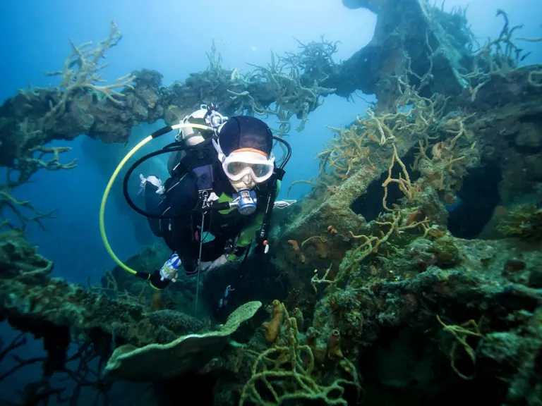 world war II shipwrecks coron palawan