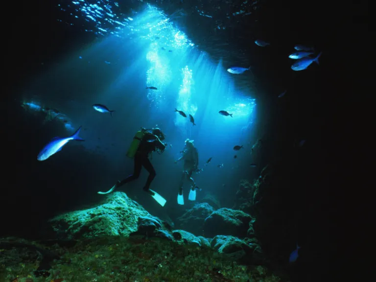 diving in new zealand