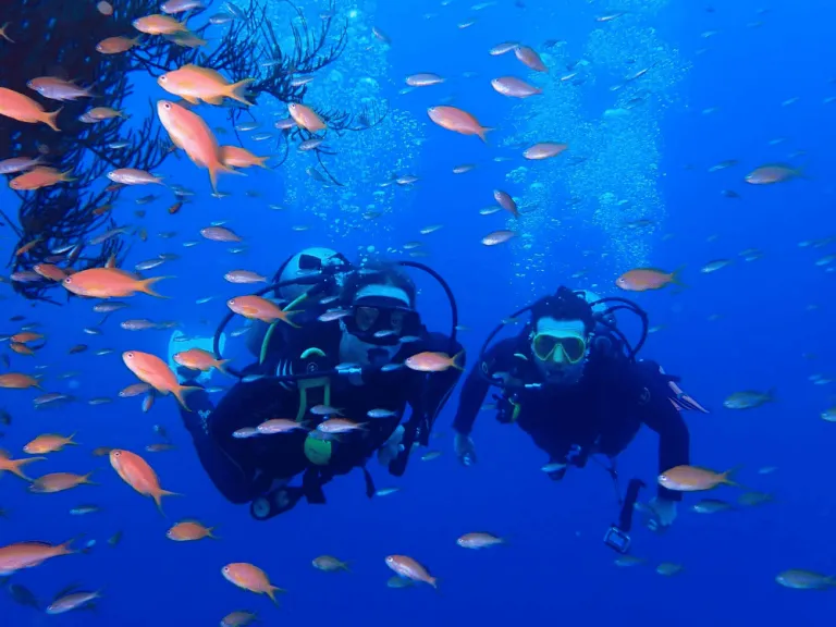 red sea tribe diving