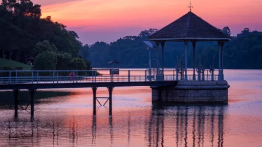 image for article Singapore's Best Green Spaces: Top Natural Attractions