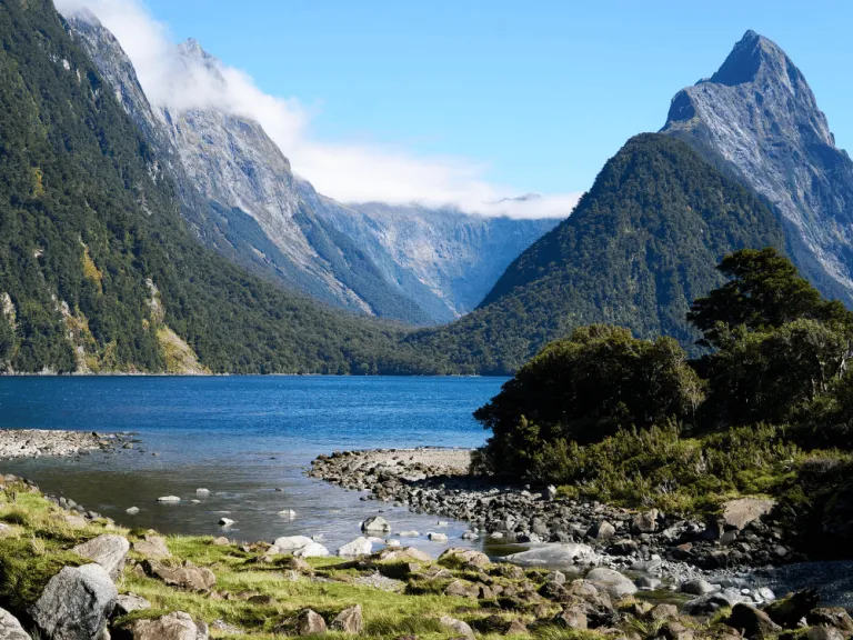 fjords of milford sound in new zealand