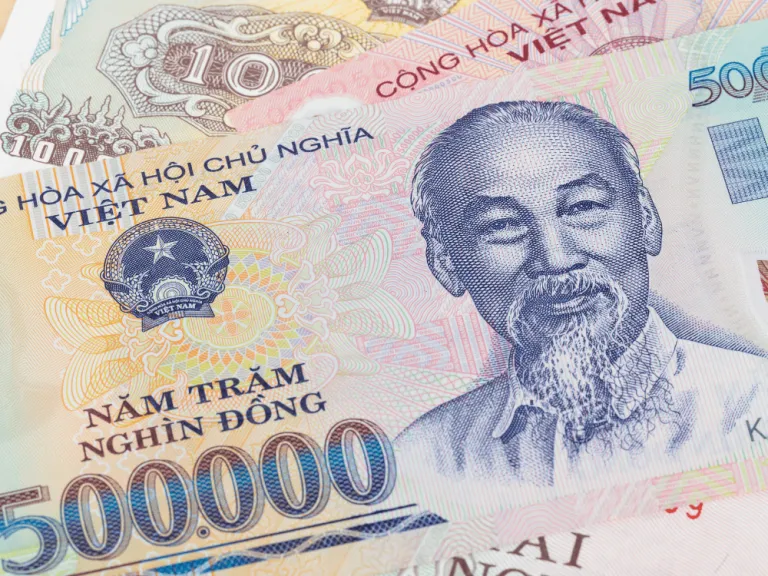 vietnam banknotes