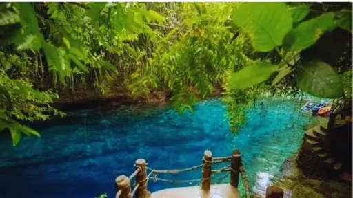 image for article The Enchanting Mystery of Hinatuan River: Is It Really Magic or Just Nature’s Best Work?