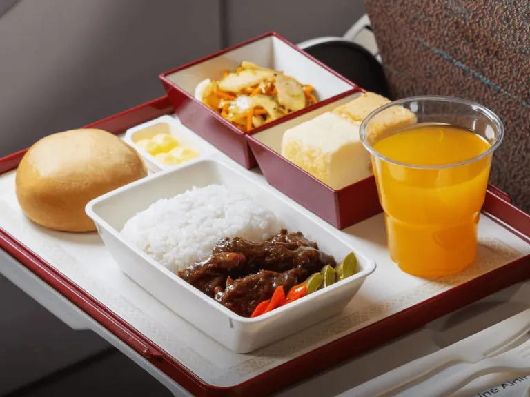 in flight food from PAL