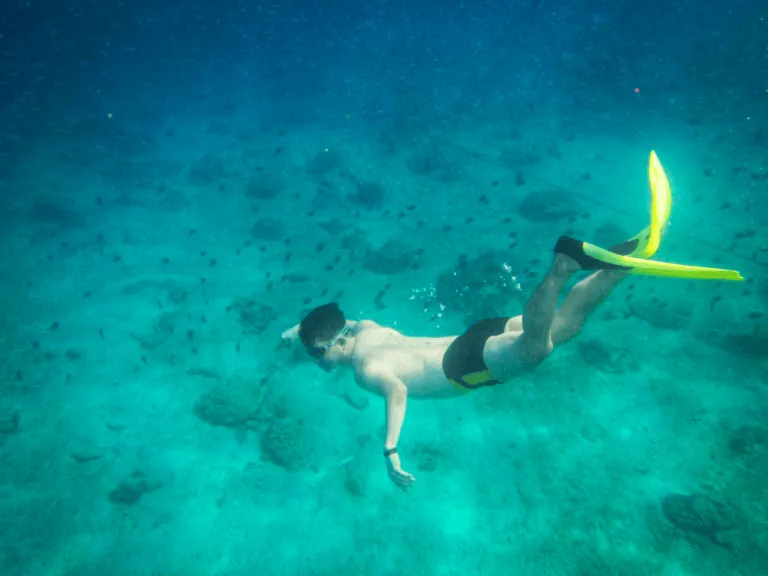 diving underwater in Batangas