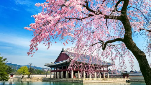 image for article How to Travel South Korea on a Budget Without Missing Out