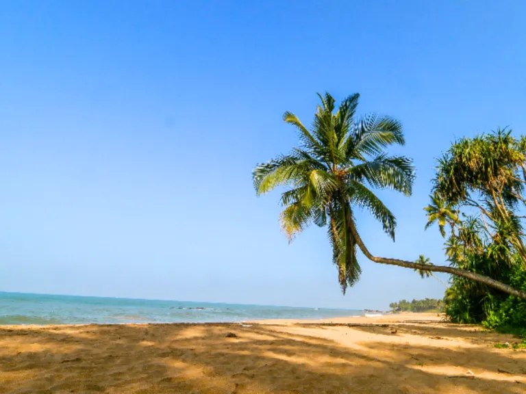 Bentota Beach