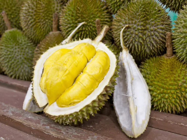 Durian