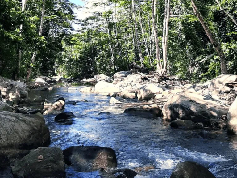 Amro River Protected Landscape