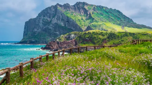 image for article Jeju Island Travel Guide: Best Attractions & 3-Day Itinerary