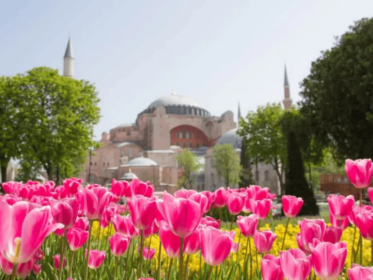 Istanbul Tulip Festival 