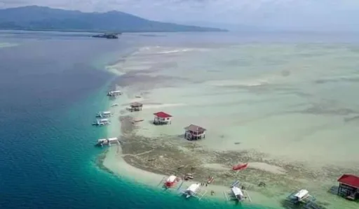 image for article Complete Guide to Manjuyod Sandbar: The Maldives of the Philippines