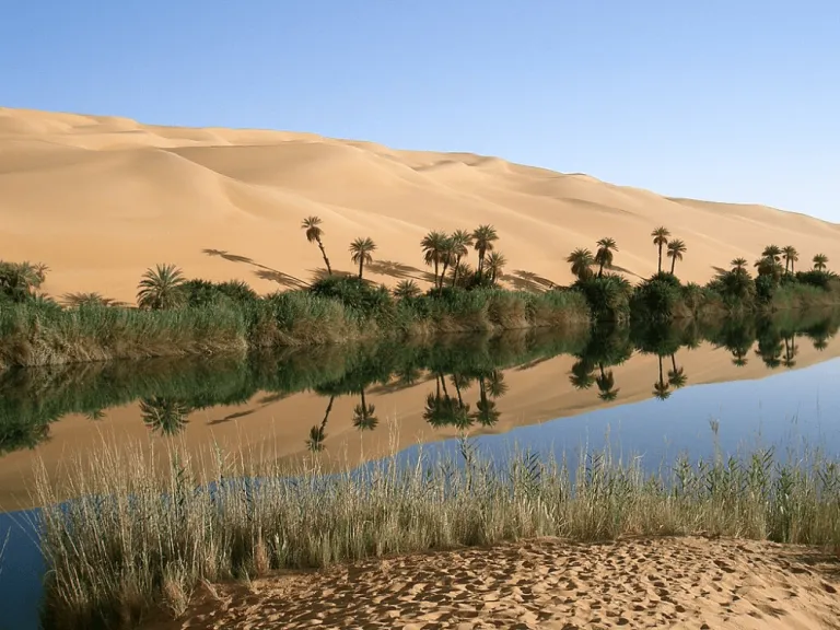 Ubari Oasis, Libya 