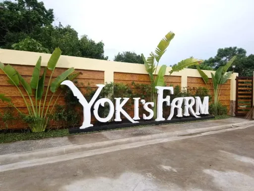 image for article Alpacas and Capybaras at Yoki’s Farm Cavite
