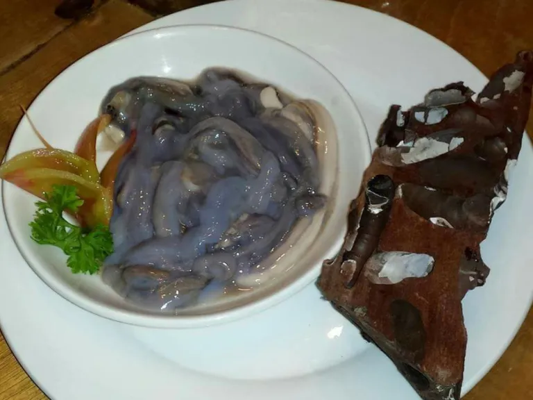 Tamilok in Palawan