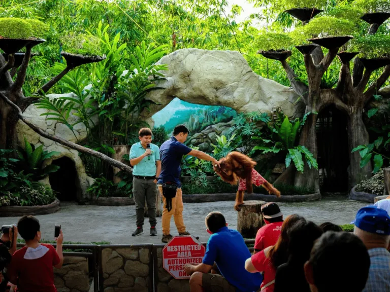 Davao Crocodile Park and Zoo 