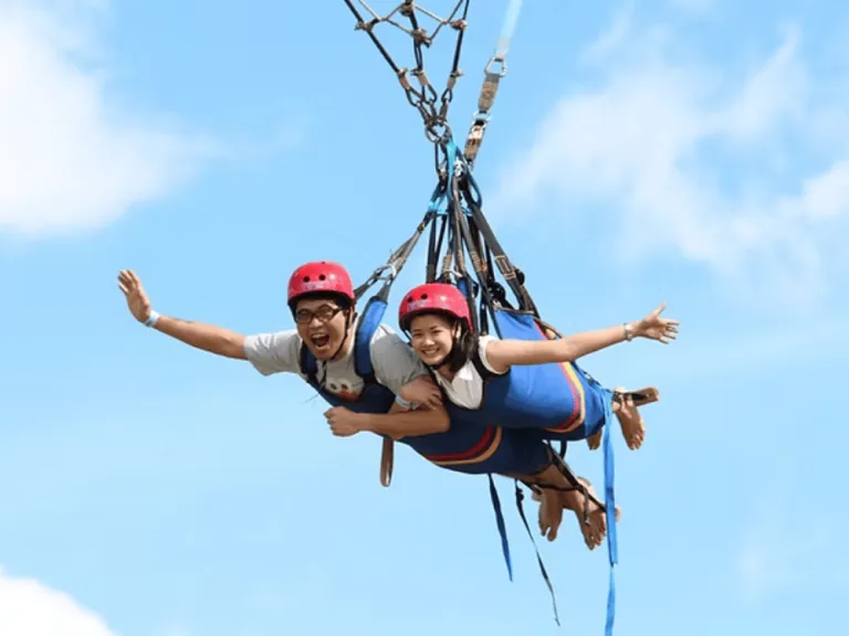 Dual Zipline at Dahilayan Adventure Park