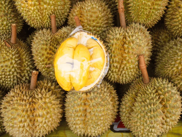 Fresh Durian