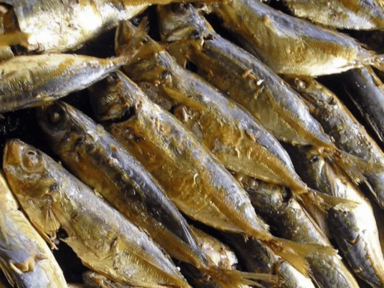 Tinapa Batangas 
