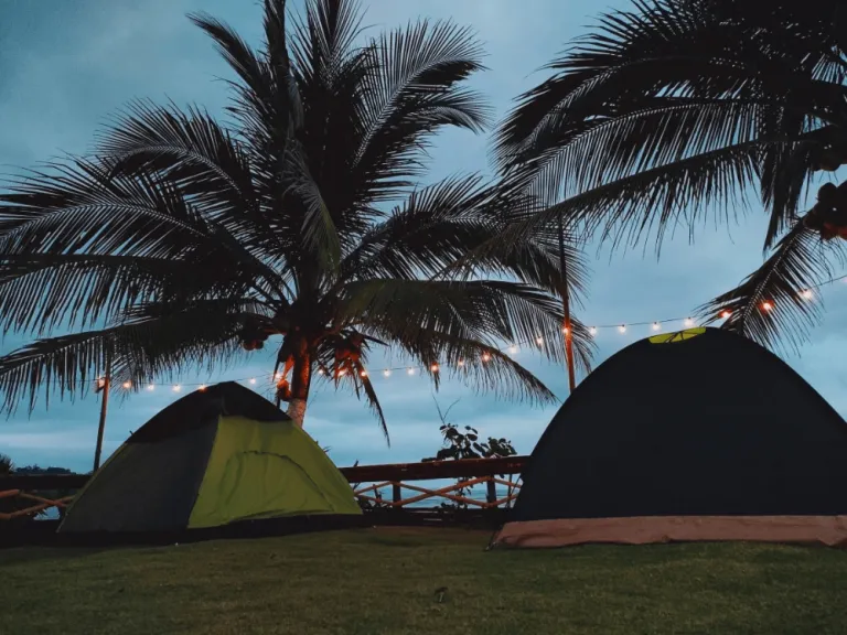 Stargazing and campfires in Casapsapan Beach