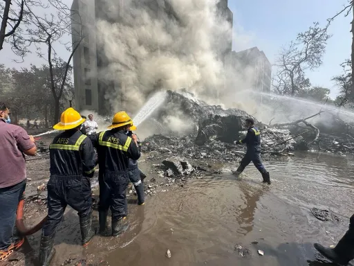 image for article Air India Flight AI171 Crash: One Survivor, Hundreds Dead
