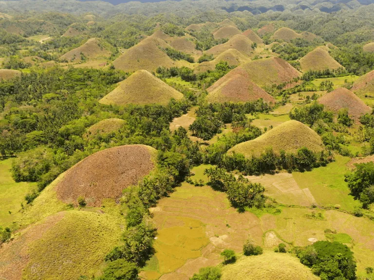 chocolate hills in bohol