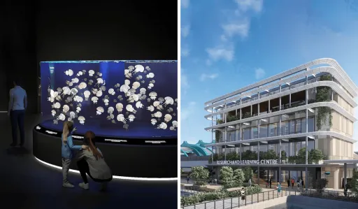 image for article Everything You Need to Know About the New Singapore Oceanarium