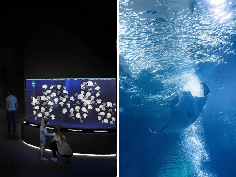 Singapore Oceanarium 