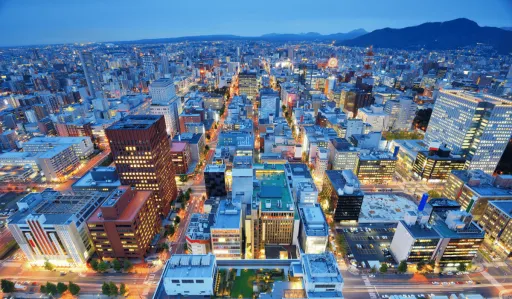 image for article PAL Brings Back Direct Manila to Sapporo Flights for Winter