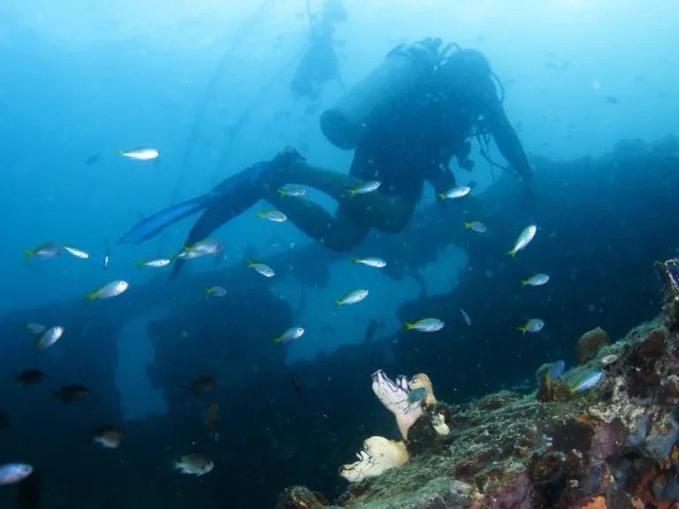 asean day things to do in southeast asia where to go in southeast asia