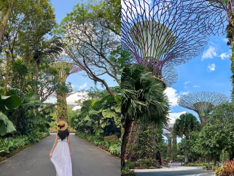 asean day things to do in southeast asia where to go in southeast asia@mich.miich | Instagram