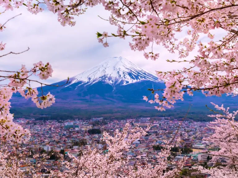 10 day itinerary japan for holidays japan vacation christmas and new years holiday travel tokyo osaka kyoto japanese tour