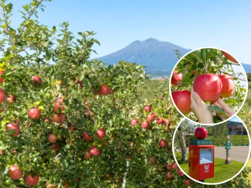 image for article Why Aomori is Japan’s Cutest Prefecture: Yoshitomo Nara, Apples, and More